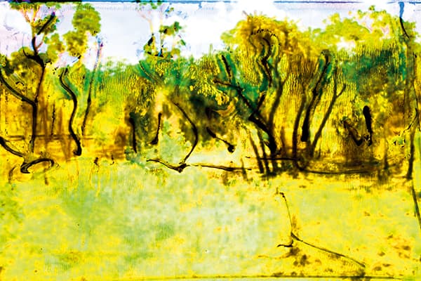 nature