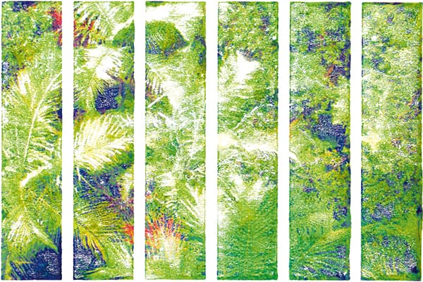 palms