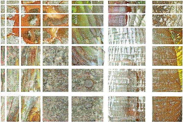 bark