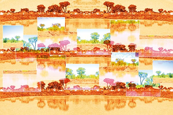 desert